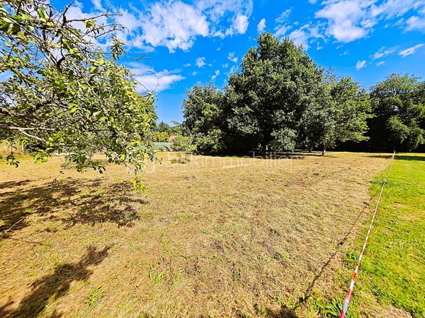 Terrain de 2 000 m²