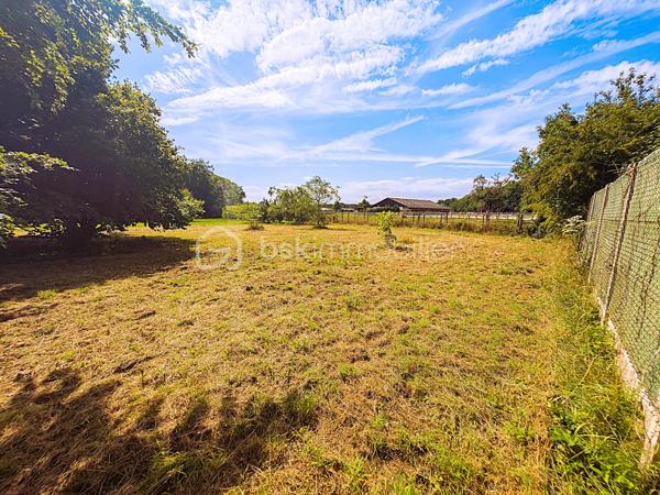 Terrain de 2 000 m²