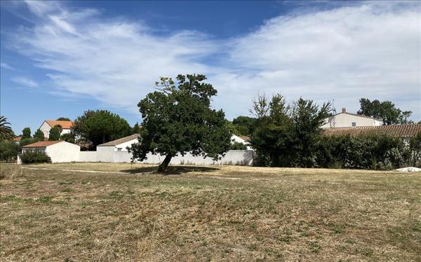 Terrain à vendre |  Saint-Denis-d'Oléron |  629 m²