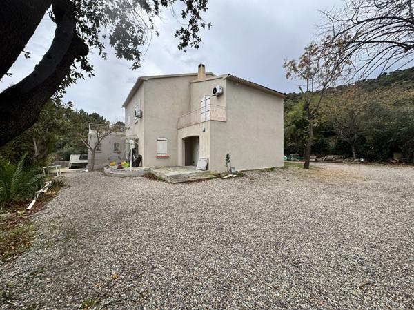 Bureaux  en location  à Lucciana 1 pièce(s)