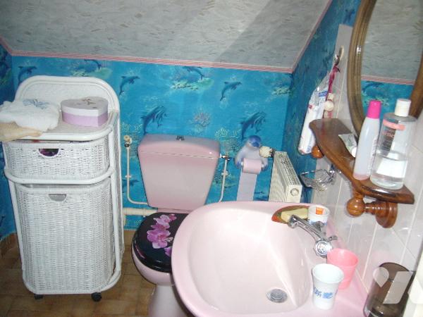 MAISON INDIVIDUELLE, JARDIN et GARAGE LAPALISSE CENTRE