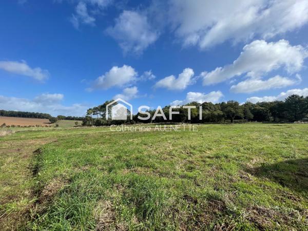 Terrain de 7594 m² dont  725 m² constructible.