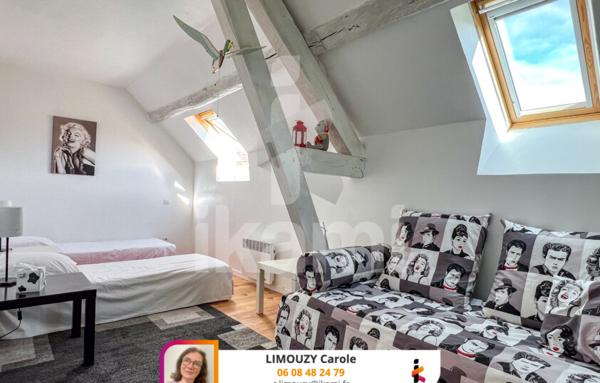 Selles-sur-Cher - Magnifique maison familiale