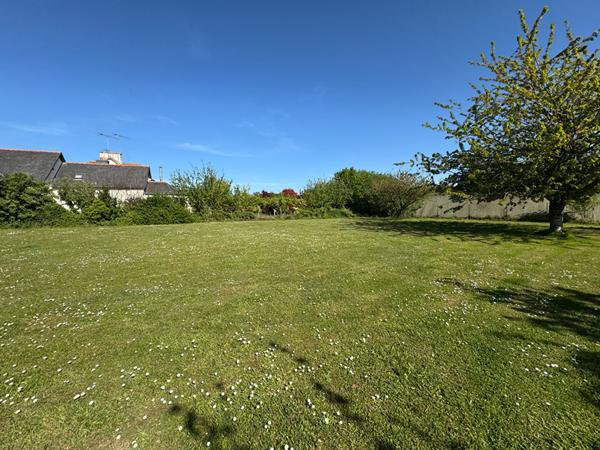 Terrain constructible