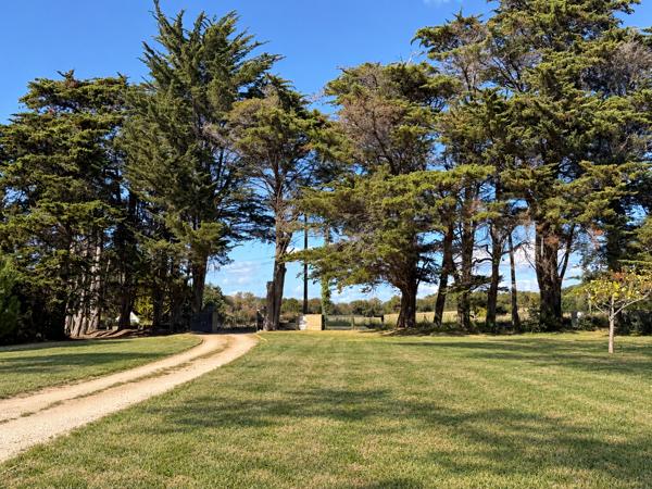 Vue mer - 6 chambres - Plus de 7 000 m2 de terrain.