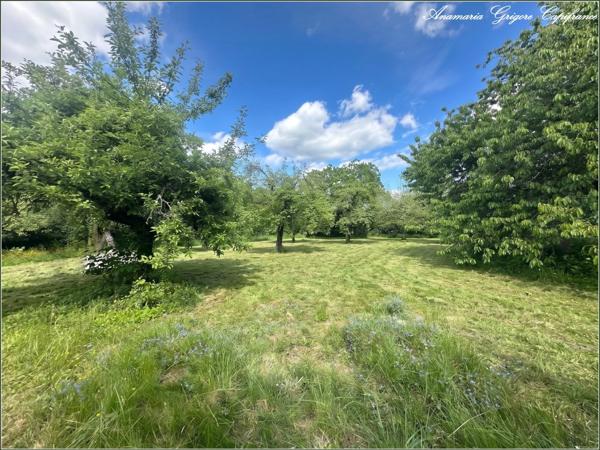 Frazé (28160)  Longère de plain-pied à rénover 100 m² habitable, jardin 1676 m² – Proche Château