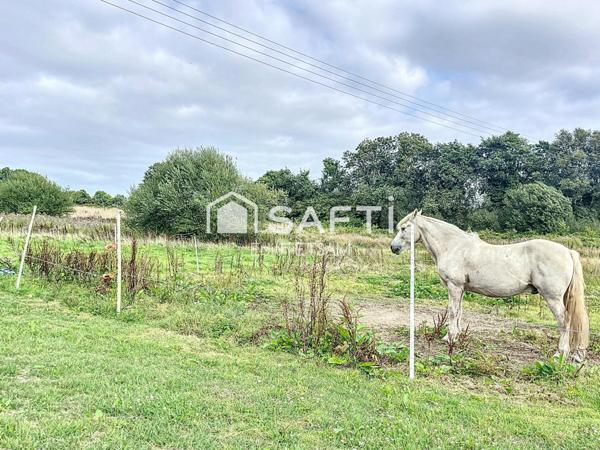 Maison 9 pièces 278 m²