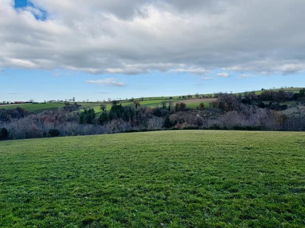 Rieupeyroux – Grange en pierre à rénover avec terrain dans un hameau paisible