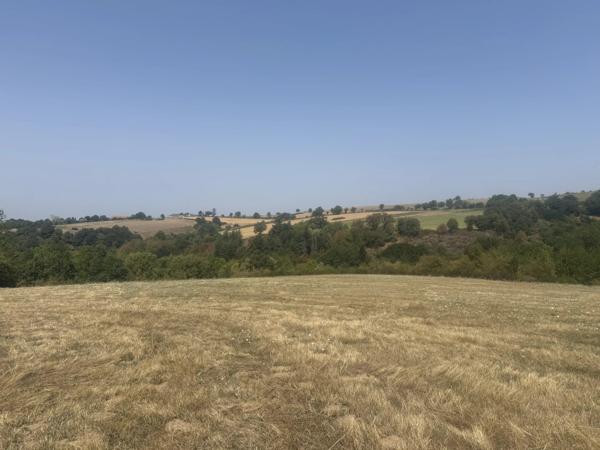 Rieupeyroux – Grange en pierre à rénover avec terrain dans un hameau paisible