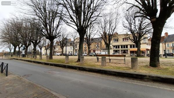 Local mixte (Pro/Hab) à vendre à Châteauroux dans l'Indre (36000), ref : LV024   
centre