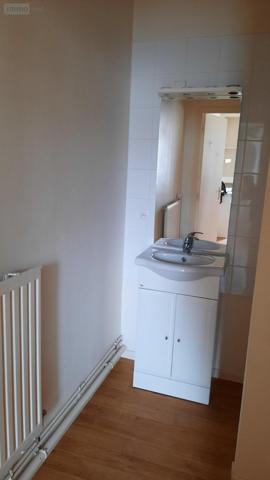 Local mixte (Pro/Hab) à vendre à Châteauroux dans l'Indre (36000), ref : LV024   
centre