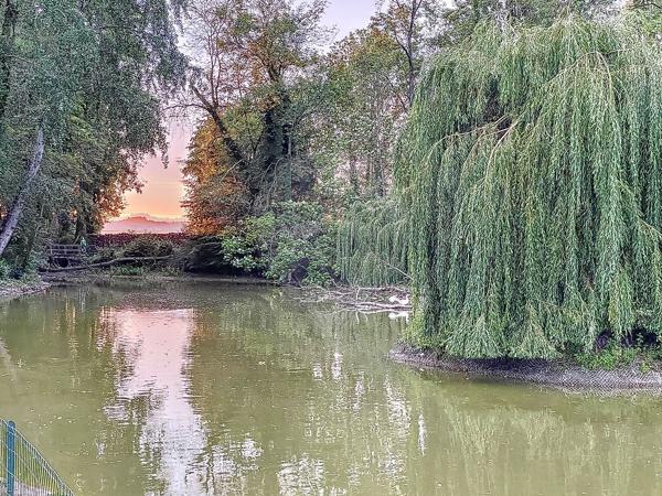 Maison  de luxe en vente - Aube - 10