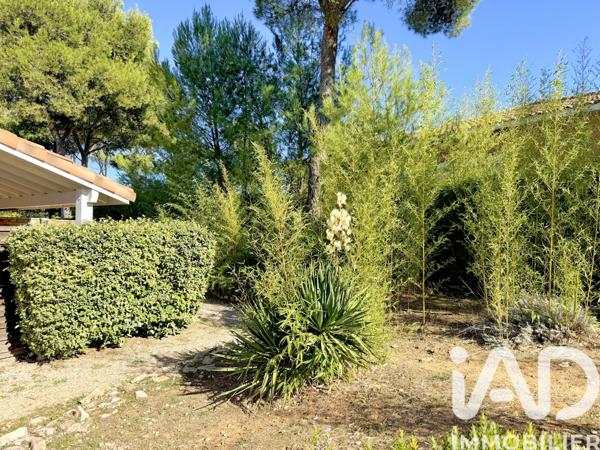 Maison à vendre 3 pièces 41 m² Calvisson