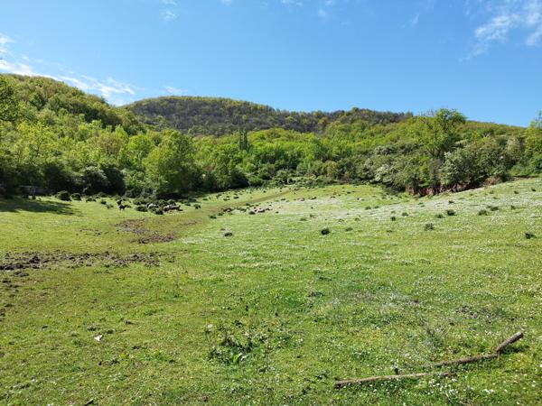 Saint-Affrique (12400) demeure historique, chambres et table d’hôtes, domaine de 6ha, avec piscine