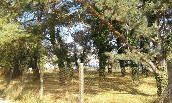 TERRAIN à BATIR aux Bordes
