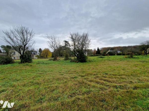Magnifique Terrain à Bâtir le Thoureil