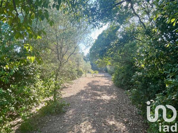 Terrain à vendre 908 m² Aubais