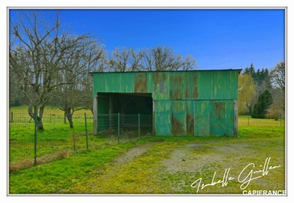 Propriete à vendre 6 pièces SAINT MAUR (18)