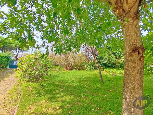 Vente terrain Le Teich : 180 965 € - AJP ACTEA La Hume