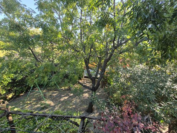 Saint-Rémy-de-Provence (13210) SAINT-REMY-DE-PCE (13210) - MAISON 5 CHAMBRES AVEC JARDIN ET GARAGE