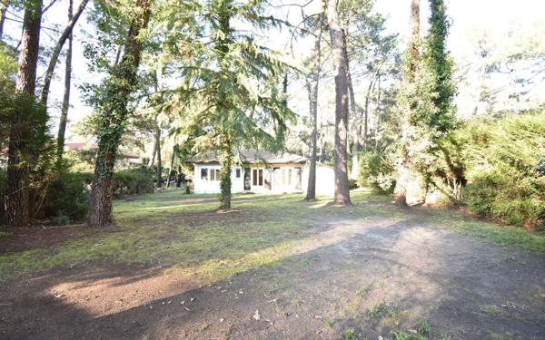 Maison à louer    4 pièces •  Soorts-Hossegor