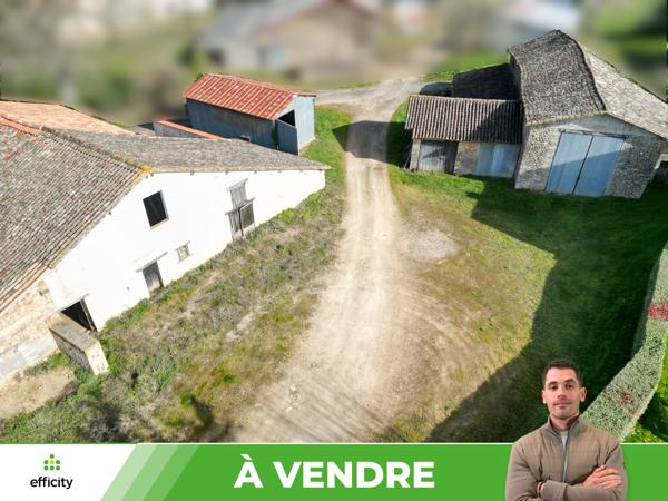 Maison 9 pièces - 245 m² Exclusivité efficity