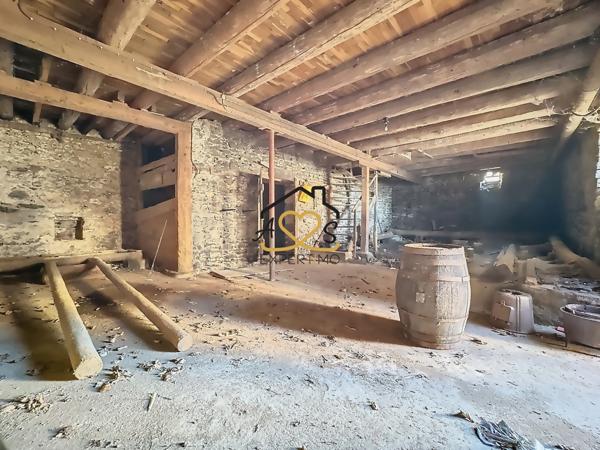 Doranges (63220) À rénover à Doranges ( Gîtes, chambres d’hôtes ou investissement)