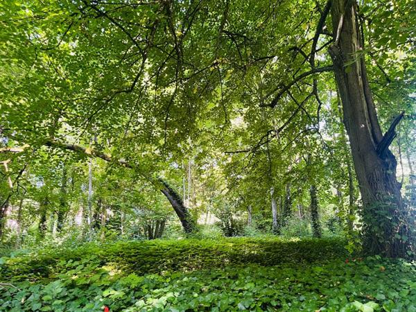 Maison d'architecte 11 pièces, 359 m2 sur parc de 7609 m2