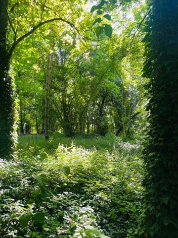Maison d'architecte 11 pièces, 359 m2 sur parc de 7609 m2