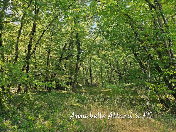 Terrain de 26840 m² idéale pour faire du bois