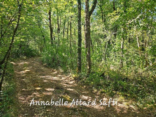 Terrain de 26840 m² idéale pour faire du bois