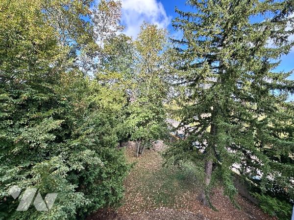 DOLE- Appartement de caractère 207 m², 8 pièces, 4 chambres, un bureau, jardin et caves voûtées