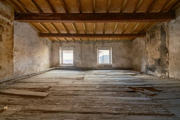 CARCASSONNE VILLEMOUSTAUSSOU Maison en pierre 275m² (176 m² hab). avec deux entrées indépendantes
