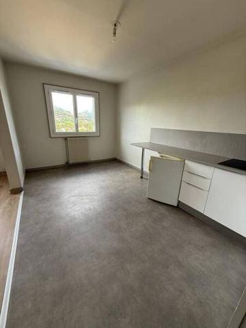 Appartement 1 pièce                                        - 43700 Brives-Charensac Réf : 12325