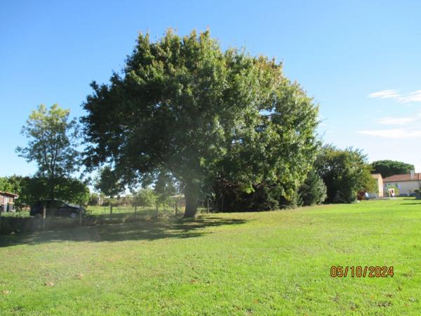 Maison à vendre 8 pièces (09)