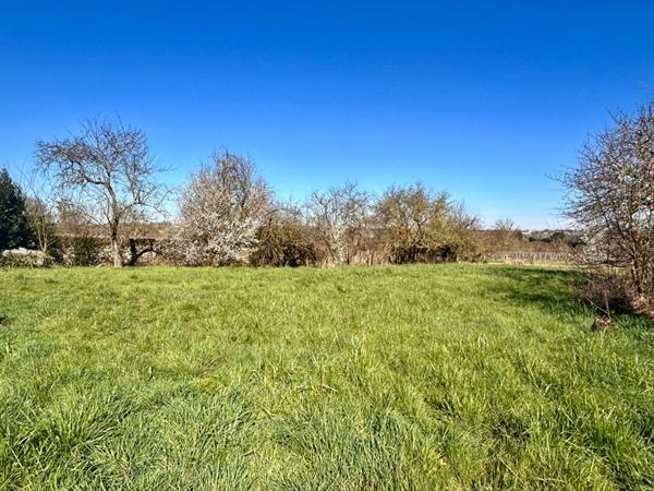 Propriété composée de 2 maisons d'habitation et multiples dépendances