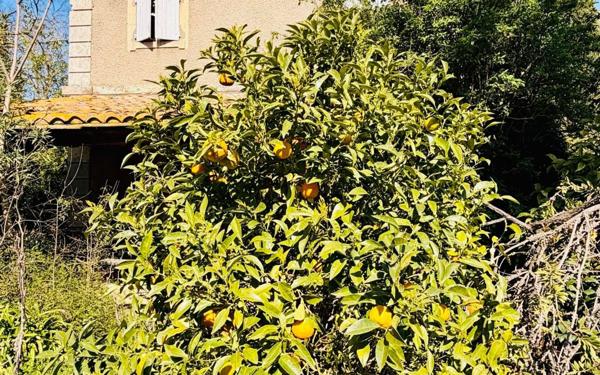 Maison à vendre    10 pièces •  Nîmes