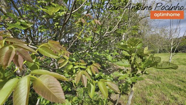 Terrain à vendre de 1213 m² à NOE (31)