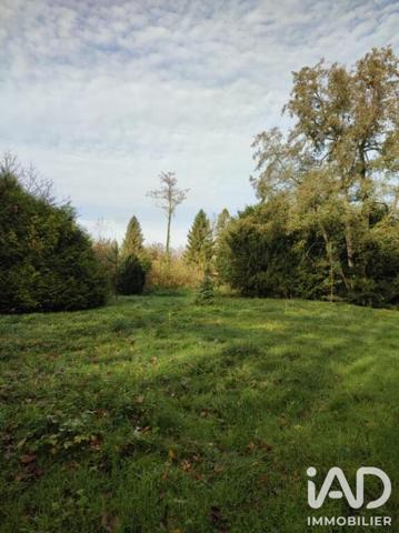 Terrain à vendre 4 900 m² Saint-Remy-le-Petit