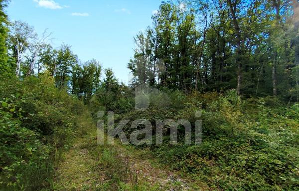 Terrain Agricole de 64 200 m²