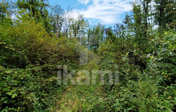 Terrain Agricole de 64 200 m²