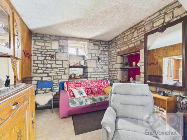 MAISON 3 PIÈCES AVEC GRAND JARDIN ARBORÉ