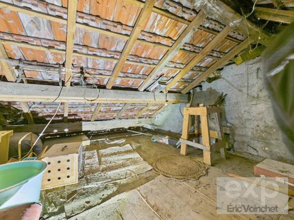 MAISON 3 PIÈCES AVEC GRAND JARDIN ARBORÉ