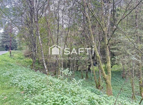 Terrain de loisir