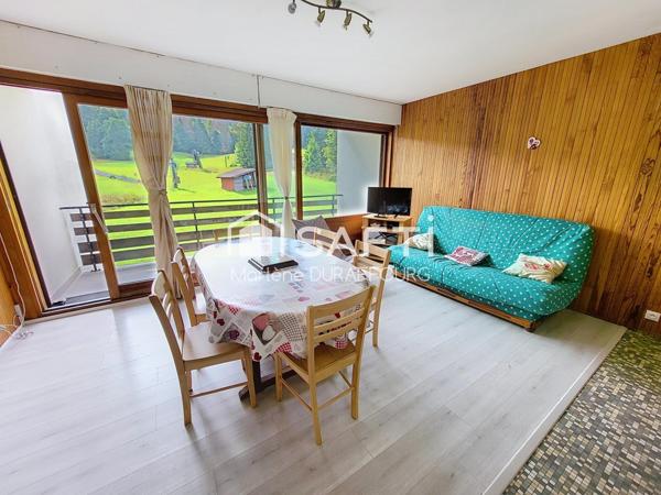 Appartement au pied des pistes de ski