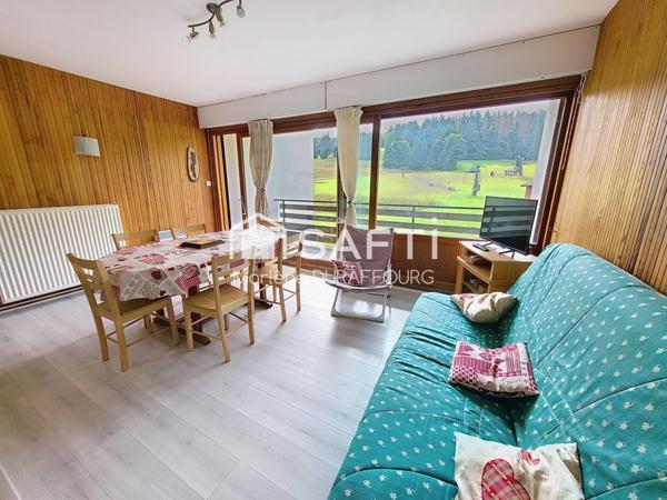 Appartement au pied des pistes de ski