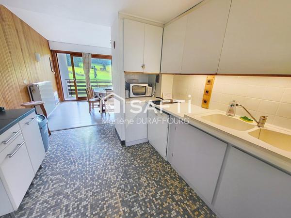 Appartement au pied des pistes de ski