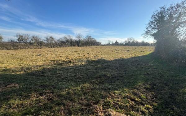 Terrain à vendre    Ainay-le-Château