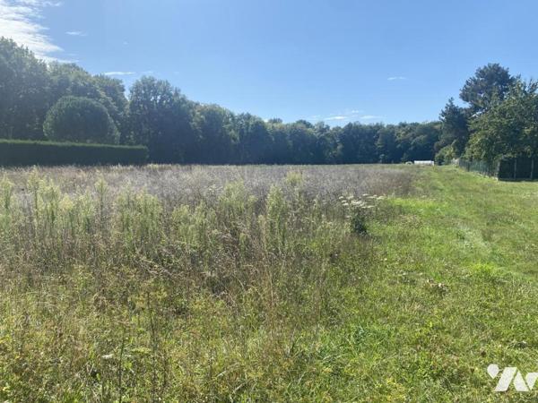 45200 AMILLY - TERRAIN A BATIR DE 2 262 M²