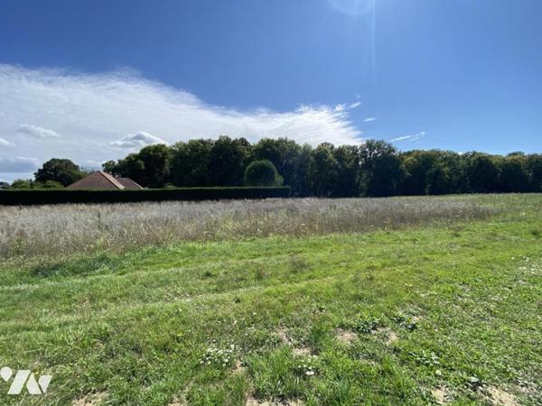 45200 AMILLY - TERRAIN A BATIR DE 2 262 M²